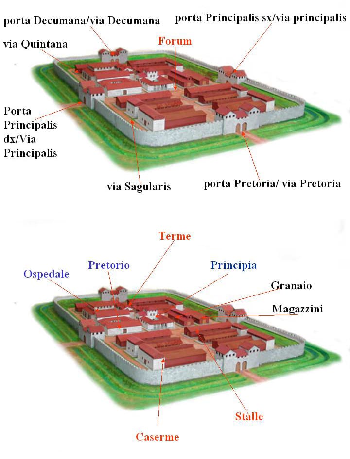 Forte coortale