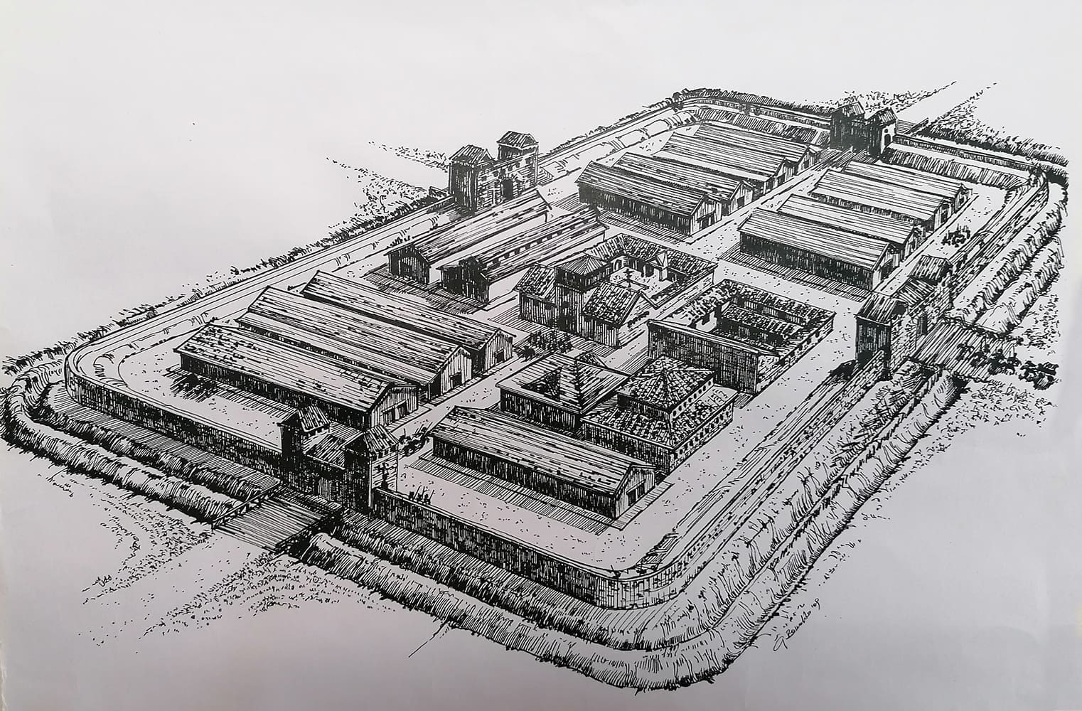 Forte coortale