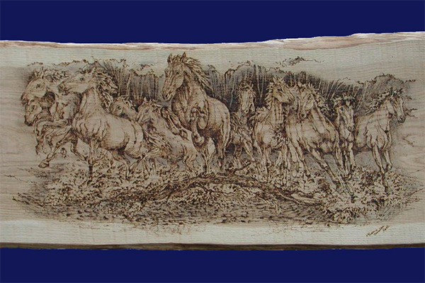 Cavalli al galoppo