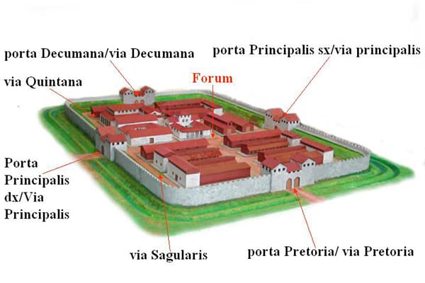 Forte coortale