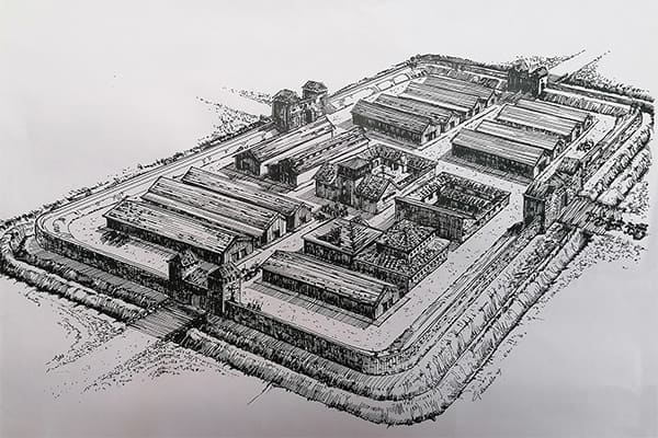 Forte coortale